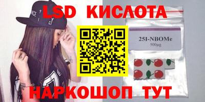 индика Кулебаки