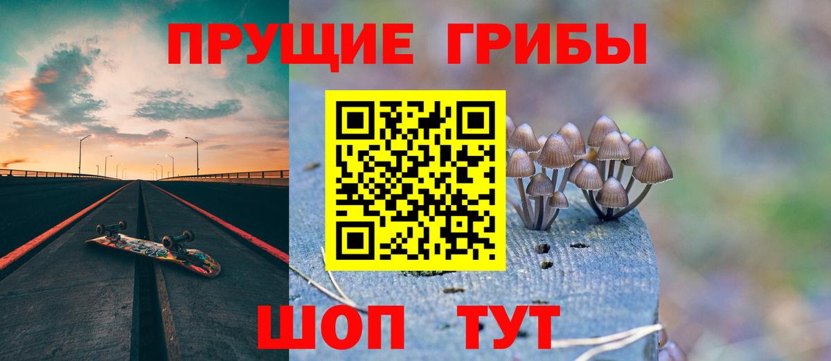 Губаха  Галлюциногенные грибы Psilocybe  Вход с VPN 